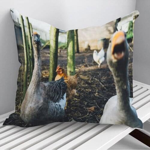Angry Goose Throw Pillows Cushion Cover On Sofa Home Decor 45*45cm 40*40cm Gift Pillowcase Cojines Dropshipping