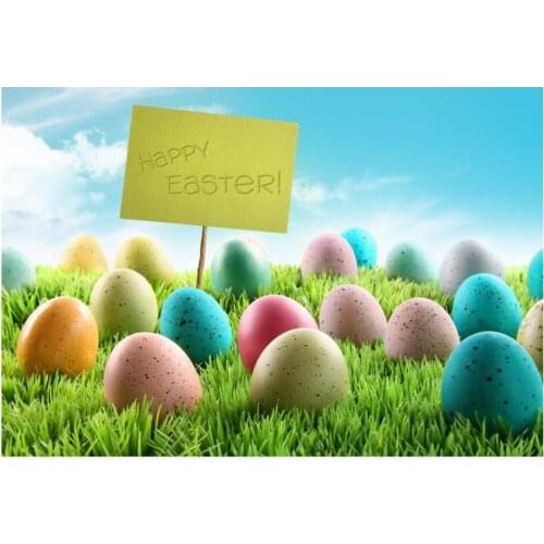 Happy Easter Eggs Spring Grassland Backgrounds for Photo Studio Computer Printed Vinyl Photography Backdrop for Newborn Children