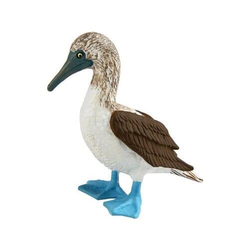 Pvc figure model toy Sula nebouxii bird