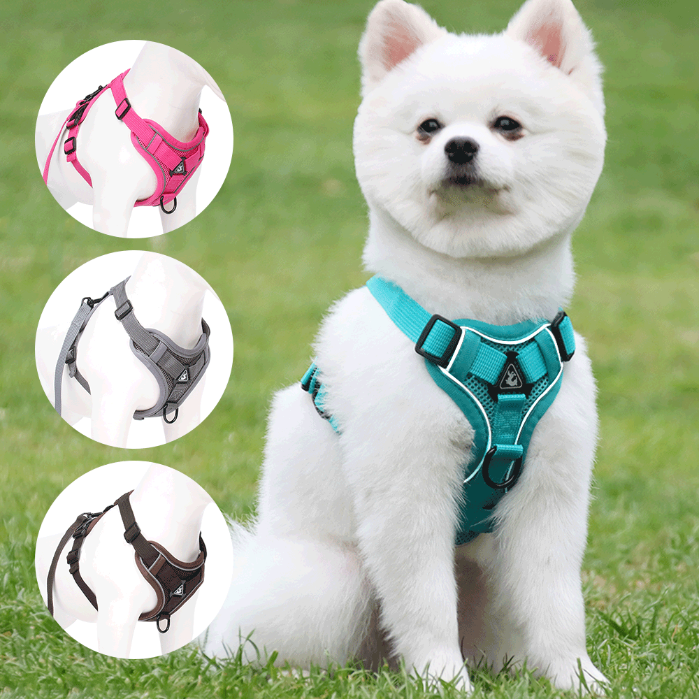 Puppy Dog Harness Vest and Leash Set Adjust Nylon Cat Harness Reflective Breathable Mesh Pet Chest Straps for Small Medium Dogs