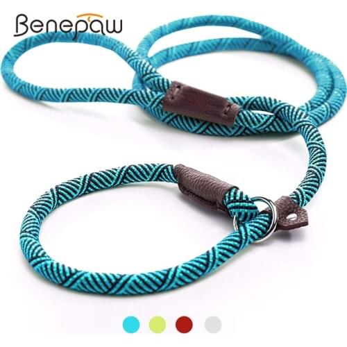 Benepaw Durable Slip Rope Dog Leash Collar 2 In 1 Adjustable Loop Collar Comfortable Small Meidum Large Pet Harness Leash