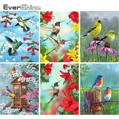 EverShine Diamond Painting Full Square Round Bird 5D DIY Diamond Embroidery Animal Mosaic Art Flower Cross Stitch Kits Sale