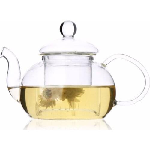Hot sale heat-resistant high borosilicate glass fresh flower teapot glass tea set hand-boiled water tea pot