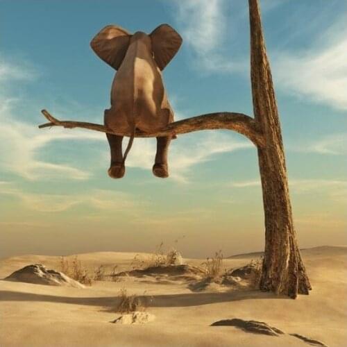 Elephant Sitting on A Branch Modern Art Canvas Posters and Prints Surrealism Art Painting Funny Art Animal Picture Cuadros Decor