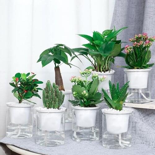 TPXCKz Flower Pots
