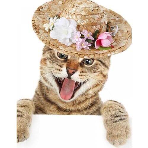 3 Types Pet Straw Woven Hat Summer Sombrero with Pearl Lacel Decoration Sunshade Pet Hat for Outdoor Party Beach Pet Supplies