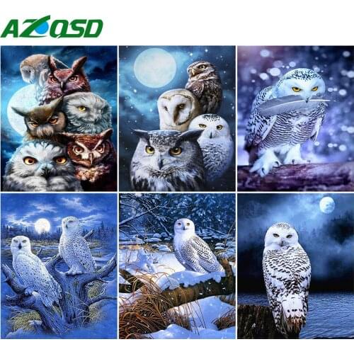 AZQSD DIY Painting By Numbers Owl Drawing On Canvas Unique Gift 40x50cm Coloring By Numbers Animal Home Living Room Art Craft