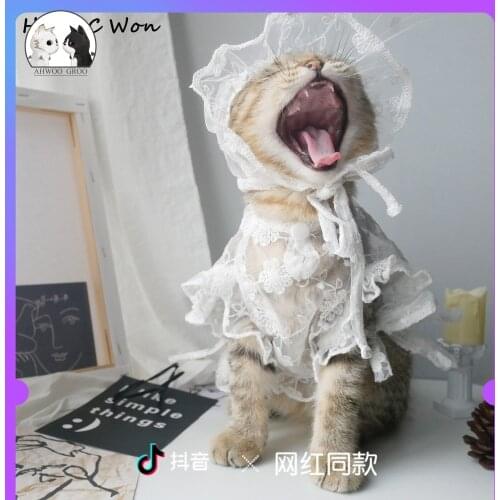 Lace Dog Dress for Dogs Skirt Summer Pet Clothes Princess Dog Cat Wedding Dresses York Clothes for Puppy Party Birthday Skirts