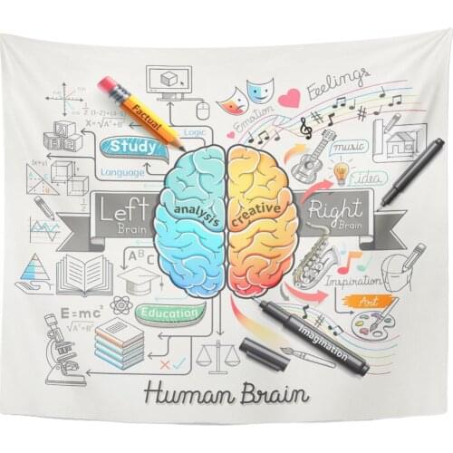 Education Human Brain Diagram Doodles Style Psychology Creative Home Decor Tapestry Wall Hanging for Living Room Bedroom Dorm