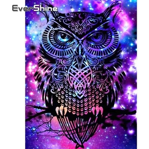 EverShine Diamond Embroidery Owl Picture Rhinestones Diamond Painting Full Square Animal Starry Sky Beaded Mosaic Hobby Art