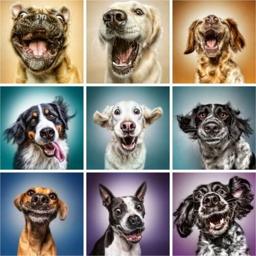 Huacan 5d Full Square Drill Diamond Painting Dog Animal Embroidery Cross Stitch Rhinestones Picture Decoration For Home