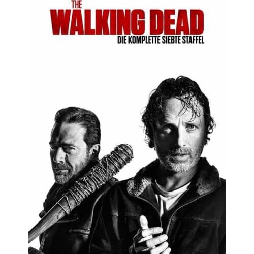 6Style Choose Classic THE WALKING DEAD - TV SHOW Art Silk Print Poster 24x36inch