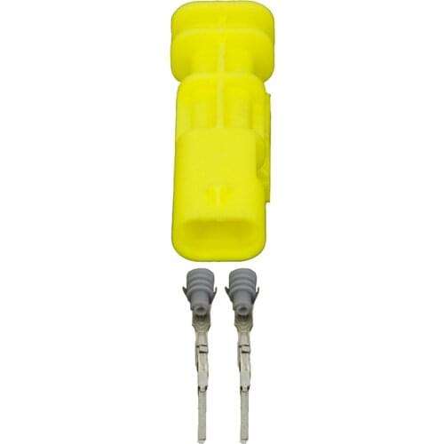 2 Pin Automotive Impact Sensor Fuel Injector Plug Public Wiring Plug with Terminal DJ7025A-1-11 2P