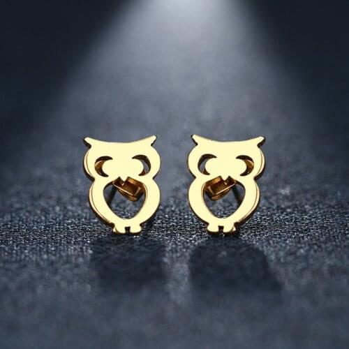 DOTIFI Stainless Steel Stud Earring For Women Man Owl Gold And Silver Color Lovers Engagement Jewelry Drop Shipping