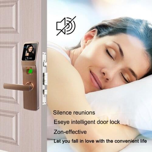 Eseye Safety And Security Products