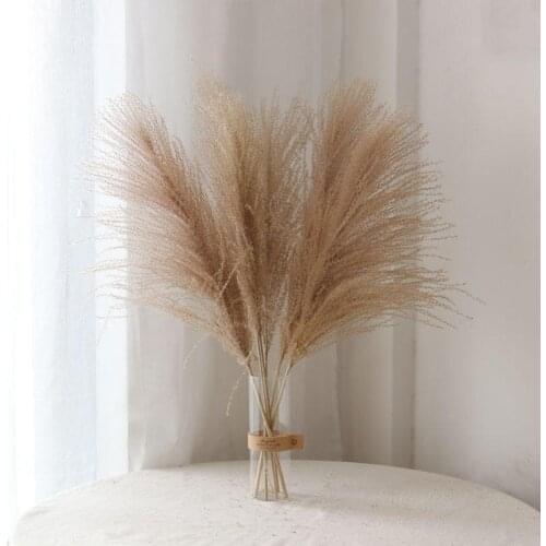 20pcs Wedding pampas grass bunch christmas decor real pampas grass natural dried plant ornaments wedding decor flower bunch