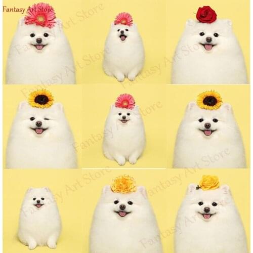 5d Diy Animal Dog Diamond Painting Full Diamond Circular Embroidery For Sale Pictures With Rhinestone Handmade Room Decoration