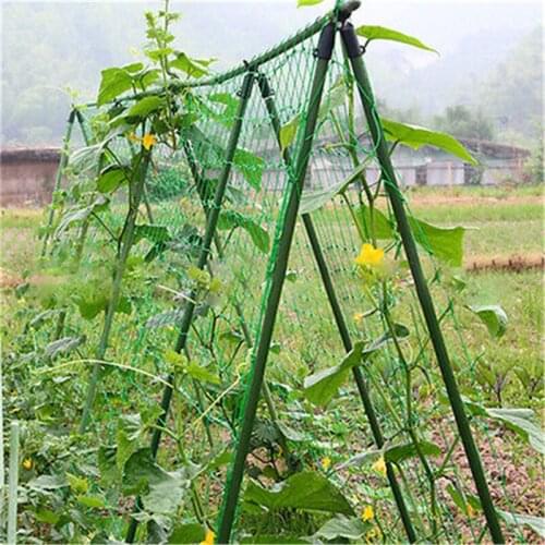 1.8X0.9M Garden Green Nylon Trellis Netting Mesh Support Climbing Bean Plant Nets Grow Fence Climbing Net Thickened Line