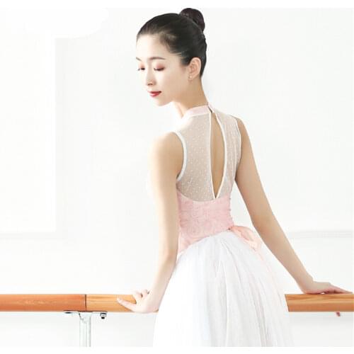 Stand Collor Dot Mesh Sporting Gymnastics Dress Women Dancing Body Leotard Ballerina Bodysuit Siamese Basic Training Leotards