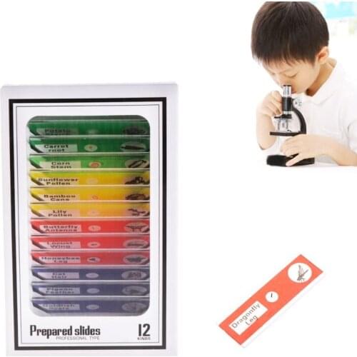 12 Pcs Prepared Microscope Slides Set Specimen For Student Basic Biology Education
