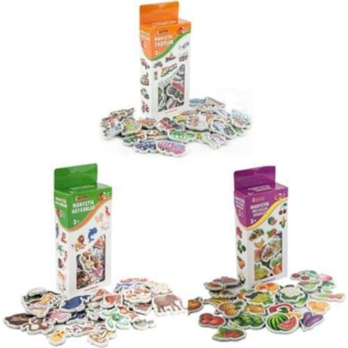 Educational Magnet Set, Diy Toy, Magnetic Set of 3, Animals, Fruits, Vehicles