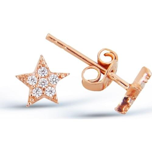 Zircon Silver Star Earrings-Women-For Girls Gift