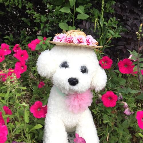 Mini Pet Dogs Straw Hat Sombrero Cat Sun Hat Beach Party Straw Hats Dogs Hawaii Style Hat For Dogs Funny Accessories