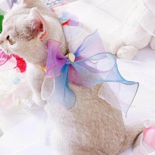 Gauze Pearl Jewelry Ragdoll Accessories Ribbon Kitten Hat Cat Collar Dog Bowknot Necklace Head Decor Pet Bows Cat Yorkie Bengal