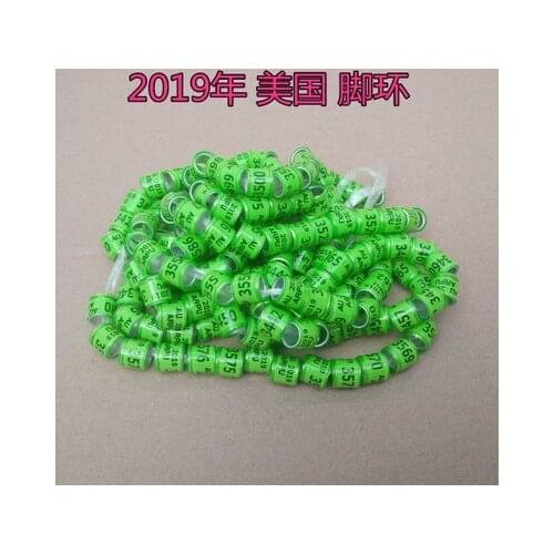 2019 Green AU pigeons ring bird rings