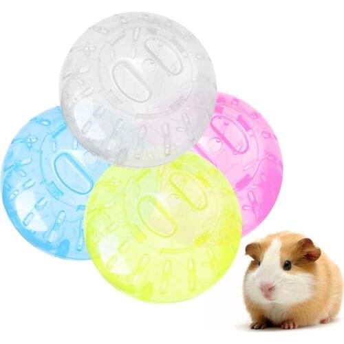 PAPASGIX Toys For Animals