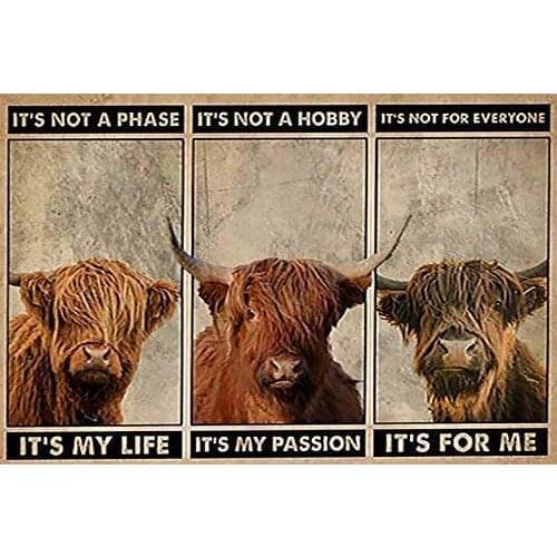 Retro Highland Cattle Its Not A Phase Tin Sign Street Garage Kitchen Farm Shop Door Wall Decoration Retro Plaque Best Gift