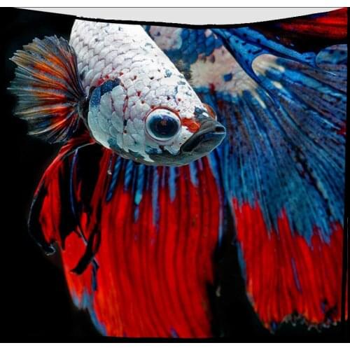 Abstract Art Tapestry Fish Printed Home Living Room Decor Large Size Dirt-resisting Functional Picnic Towel Blanket