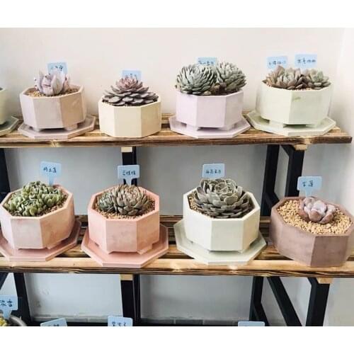 Octagonal Flowerpot Concrete Silicone Mold For Succulent Plants Round Pen Container Plaster Gypsum Mould Cement Clay Molds
