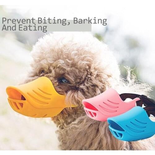 Habedi Dog Accessories