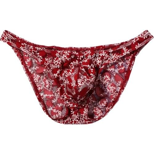 Sexy Mens Underwear Briefs Transparent Comfortable Bikini Mesh Printed Penis Pouch Underpants Man hombre Panties HT054