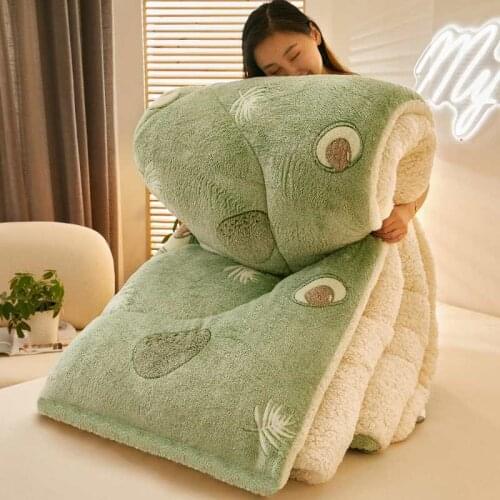 Winter Quilt Thickened Super Warm Lamb Wool Blanket Single Double King Bed Coral Double-sided Velvet Quilt Core Bedding Quilt