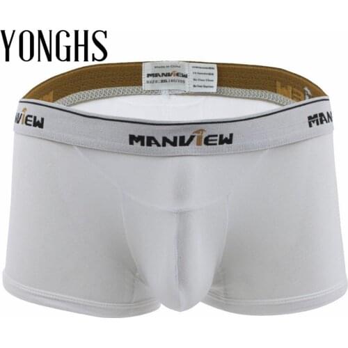 Mens Lingerie Mesh Sex Underwear Boxer Briefs Shorts Gay Homme Exotic Underwear Semi-See Through Bulge Pouch Sexy Panties