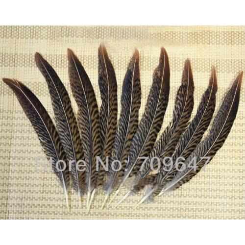 50pcs/Lot Loose Natural Golden Pheasant Tail Feathers 15-20cm 6-8 inches,plume decoration,feathers for crafts,plumes