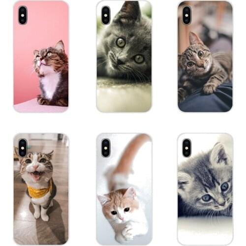 Mobile Phone Cases Covers For Apple iPhone X XR XS 11 12Pro MAX 4S 5S 5C SE 2020 6S 7 8 Plus ipod 5 6 Cute Cat Fishes Space Meow