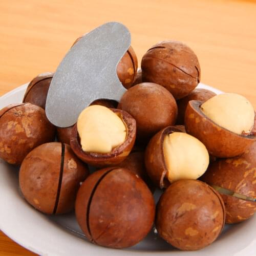 Mini Nut Crackers Stainless Steel Macadamia Walnut Opener Portable Camping Nut Tools Kitchen Accessories