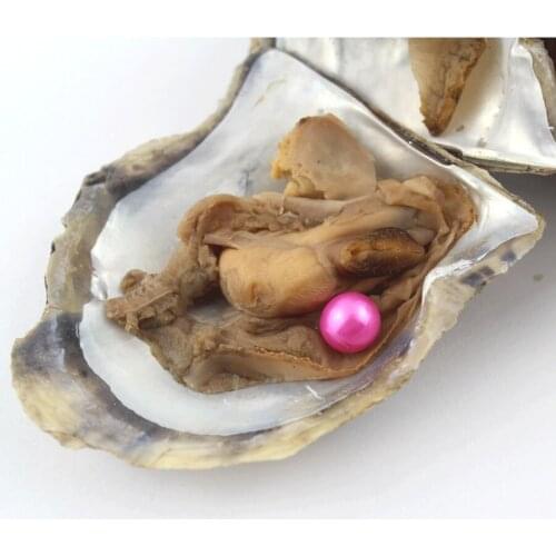 Loose Pearl Beads Vacuum-Packed Round Pearls in Oyster Saltwater Pearl Oysters Natural Pearls Women Birthday Wedding Gift EE065