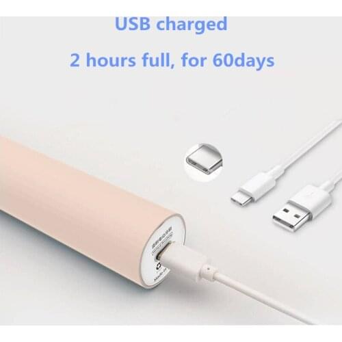 Quality electric toothbrush ultrasonic toothbrush Health whitening USB Rechargeable IP67 waterproof with two brush head