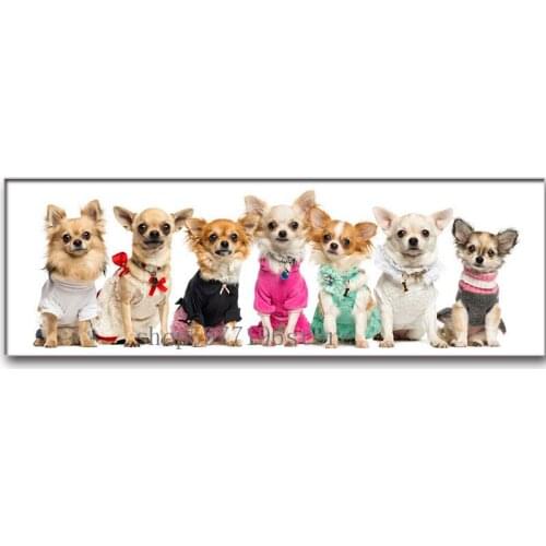 Diamond painting chihuahua pet dog square/round diamond animal 5D embroidery cross stitch crystal mosaic picture wall art