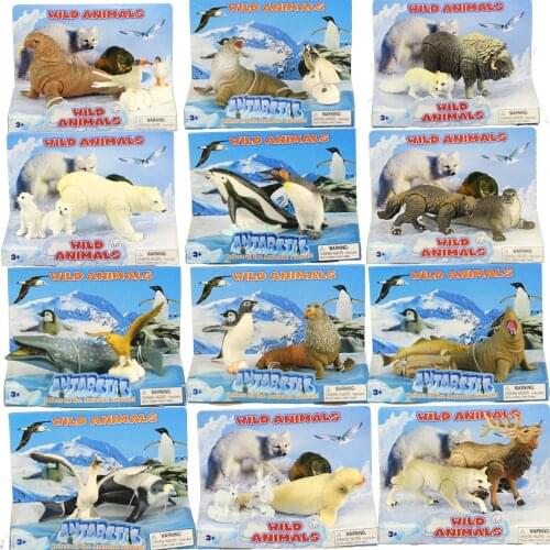Arctic Marine Animals Killer whale Polar bear Emperor penguin Seals Beluga Toy model