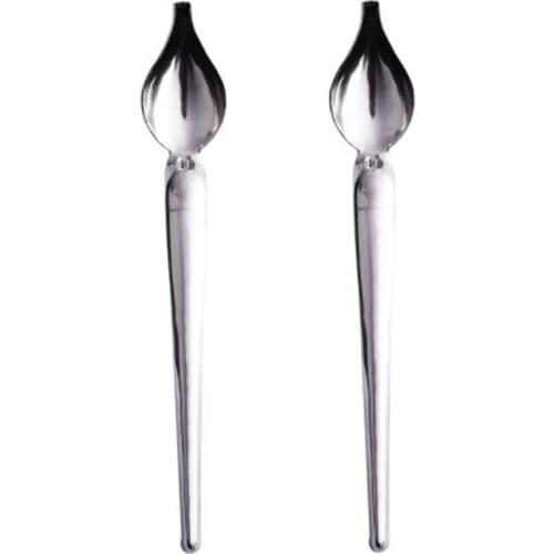 Best 2 Pcs Stainless Steel Culinary Precision Drawing Deco Spoon Set, Sauce Drizzle Spoon Plate Decorating Spoon