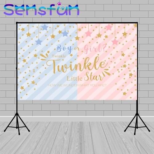 Gender Reveal Party Decor Banner Boy or Girl Photography Background Twinkle Star Backdrop Pink Blue Baby Shower Photo Backdrops