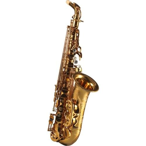 France Rollinsax Q3 Alto E Flat Saxophone Brass Instruments Body Gold Lacquer for Adult Alto Saxophone with Leather Case