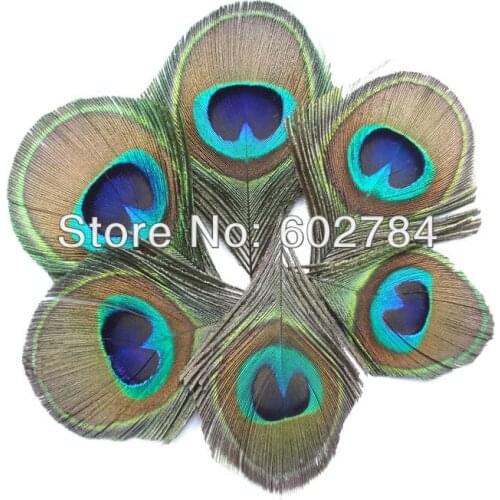 Top quality peacock feather,100pcs/lot eye width 5-6cm BLUE natural Peacock Feather Big Peacock Eye Free Shipping