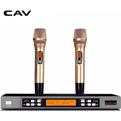 CAV U-757 Microphones Transmitter Sets Handheld Karaoke Professional Microphones Double PCS Wireless Home Use Gold Microphone