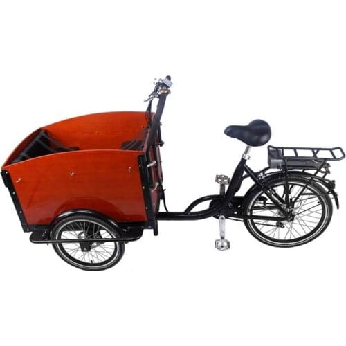 Pedal Electric Cargo Bike 3 Wheels Dutch Adult Tricycle Family Bicycle Street Kids Scooter for Sale Customizable